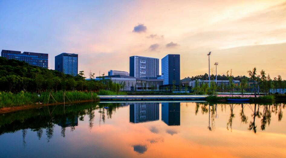 如何快速查询中国移动深圳号码信息：全面指南(深圳移动话费查询)