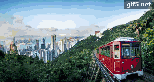 深圳手机号区号是什么？全面解析深圳电话号码的相关信息(深圳市的手机区号)