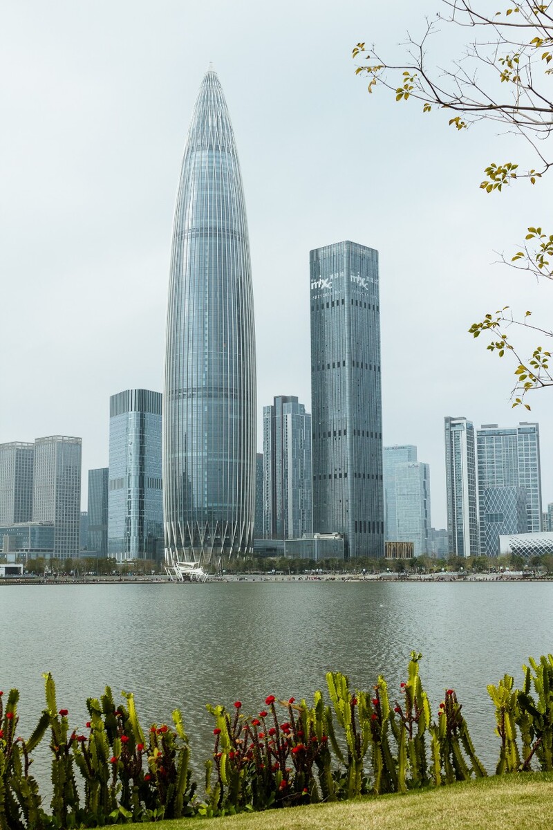 如何快速代办深圳手机号码，轻松享受便捷通信服务(怎么办深圳电话卡)