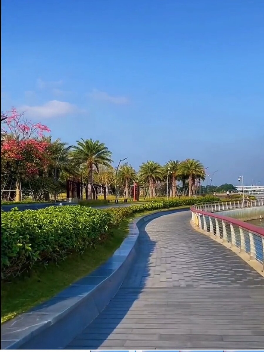 晚上接到深圳的手机号码，背后隐藏的秘密你知道吗？(深圳陌生电话)