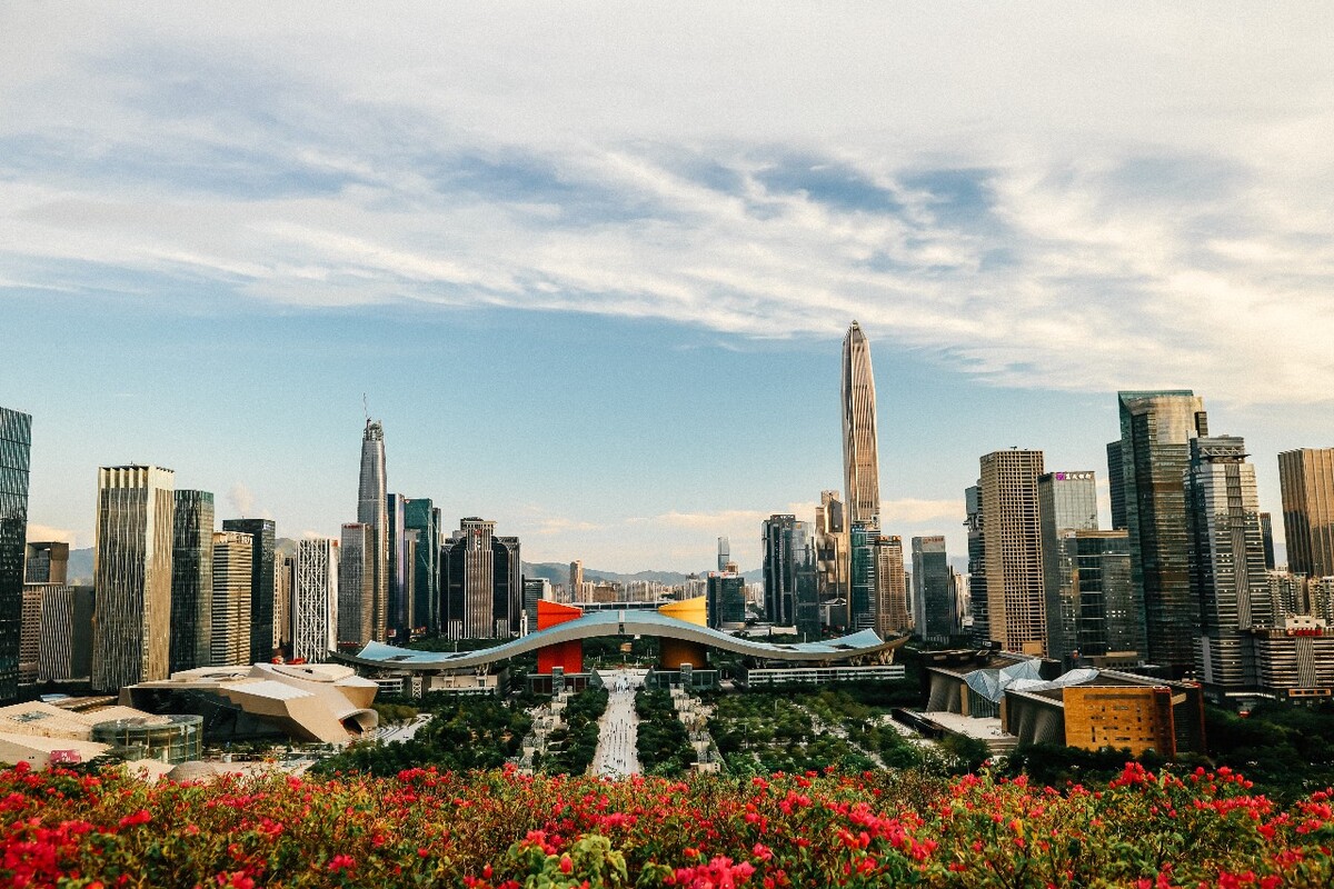 深圳手机号码开头三位常见号段解析(深圳手机号是什么数开头)