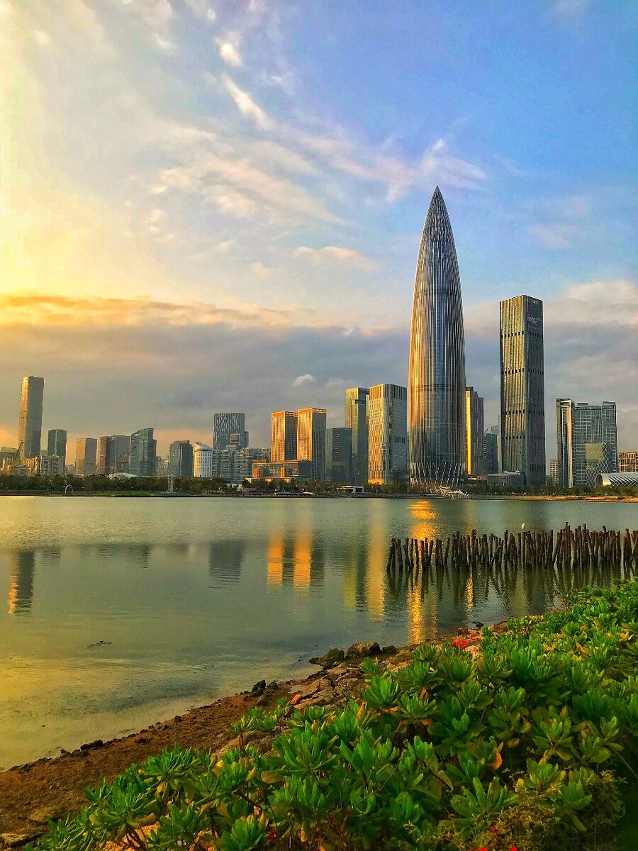 深圳手机靓号价格揭秘：选购一个靓号需要多少钱？(手机靓号深圳特价)