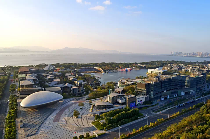 《揭秘深圳号码中间四位数的独特意义与选择技巧》(深圳手机号码中间四位是多少)