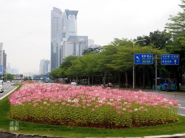 深圳移动手机号码选号网站：如何轻松选择心仪号码(深圳市移动号码选号)