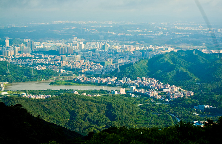 深圳移动手机靓号最新出售动态:优质号码抢购进行时(深圳移动手机号码大全选号) 深圳移动手机靓号最新出售动态:优质号码抢购进行时(深圳移动手机号码大全选号)