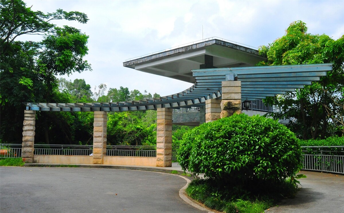 深圳移动靓号网官网下载安装指南：轻松获取专属靓号(深圳靓号码手机靓号)