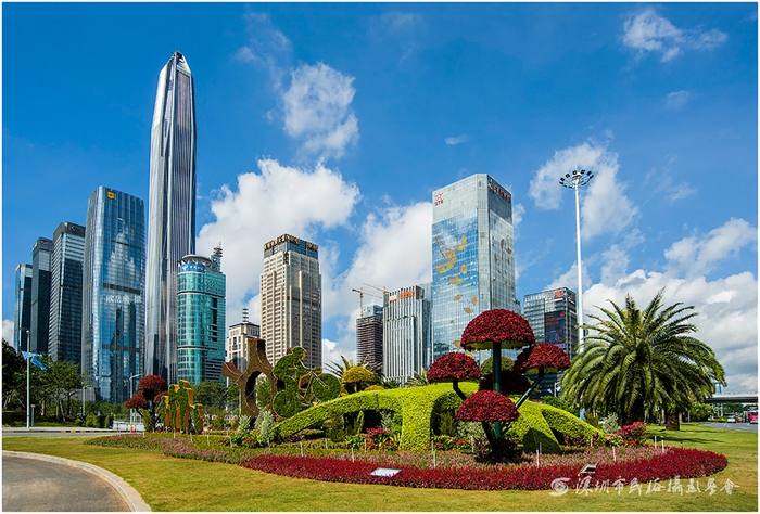 深圳手机靓号网：轻松挑选专属靓号，打造独特个人品牌(深圳手机号码靓号商城)