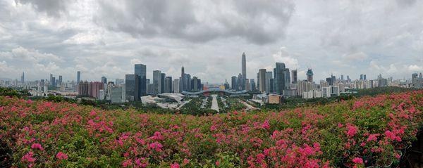 深圳免费靓号手机号码获取途径与推荐(深圳手机号码靓号商城)