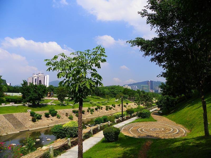 深圳尾号四连号手机号码：独特号码背后的价值与意义(深圳手机号中间4位)