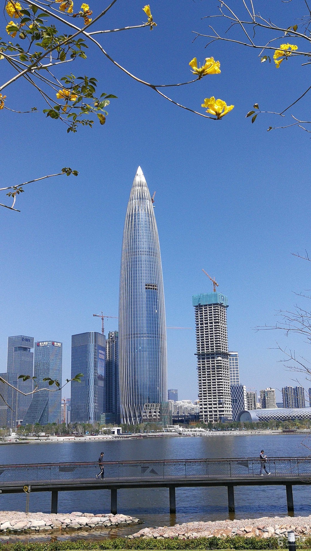 如何在深圳购买手机号码：详细指南与注意事项(深圳电话卡去哪里买)